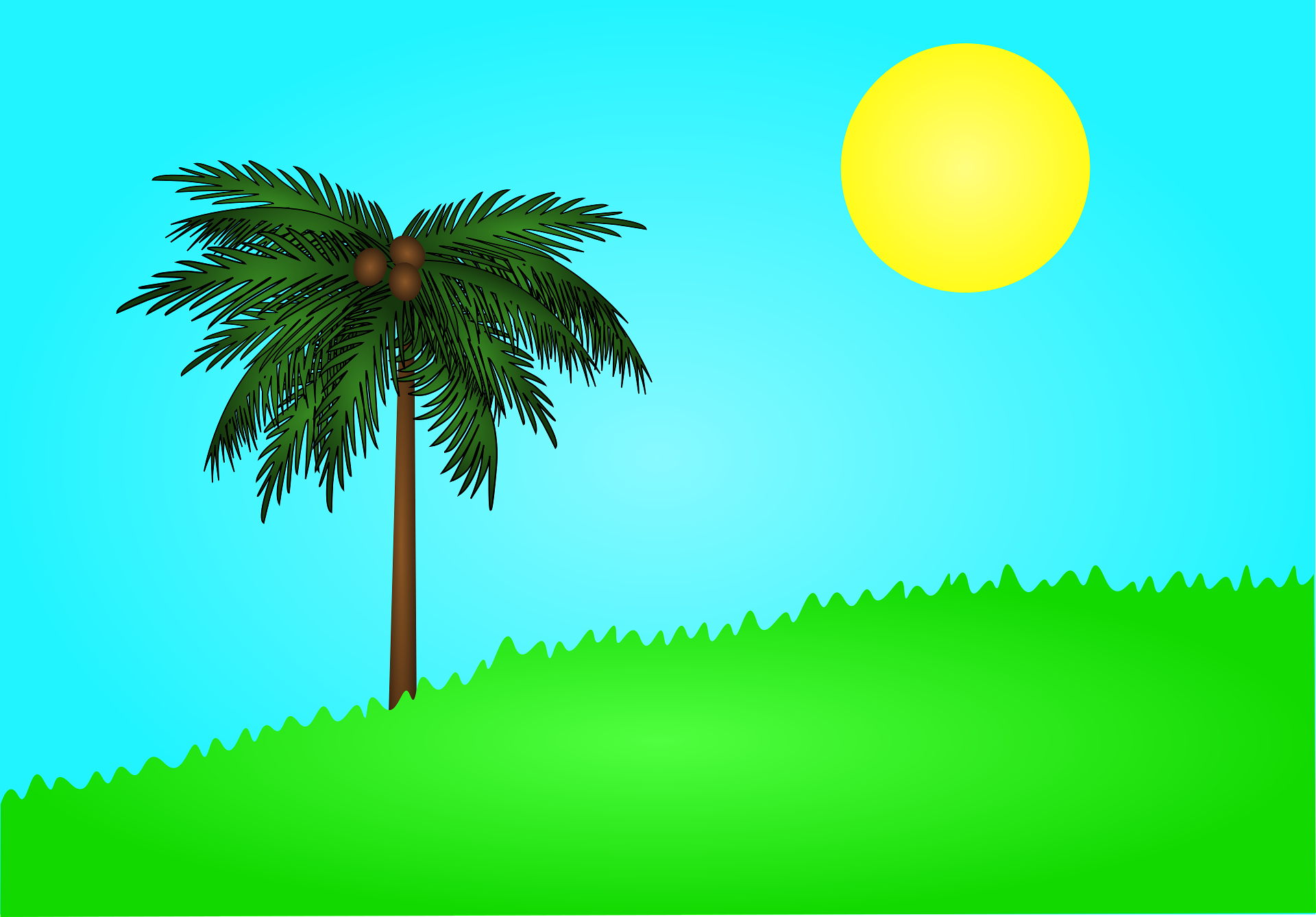 palm tree, sun