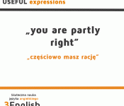 image useful expressions - "you are partly right"