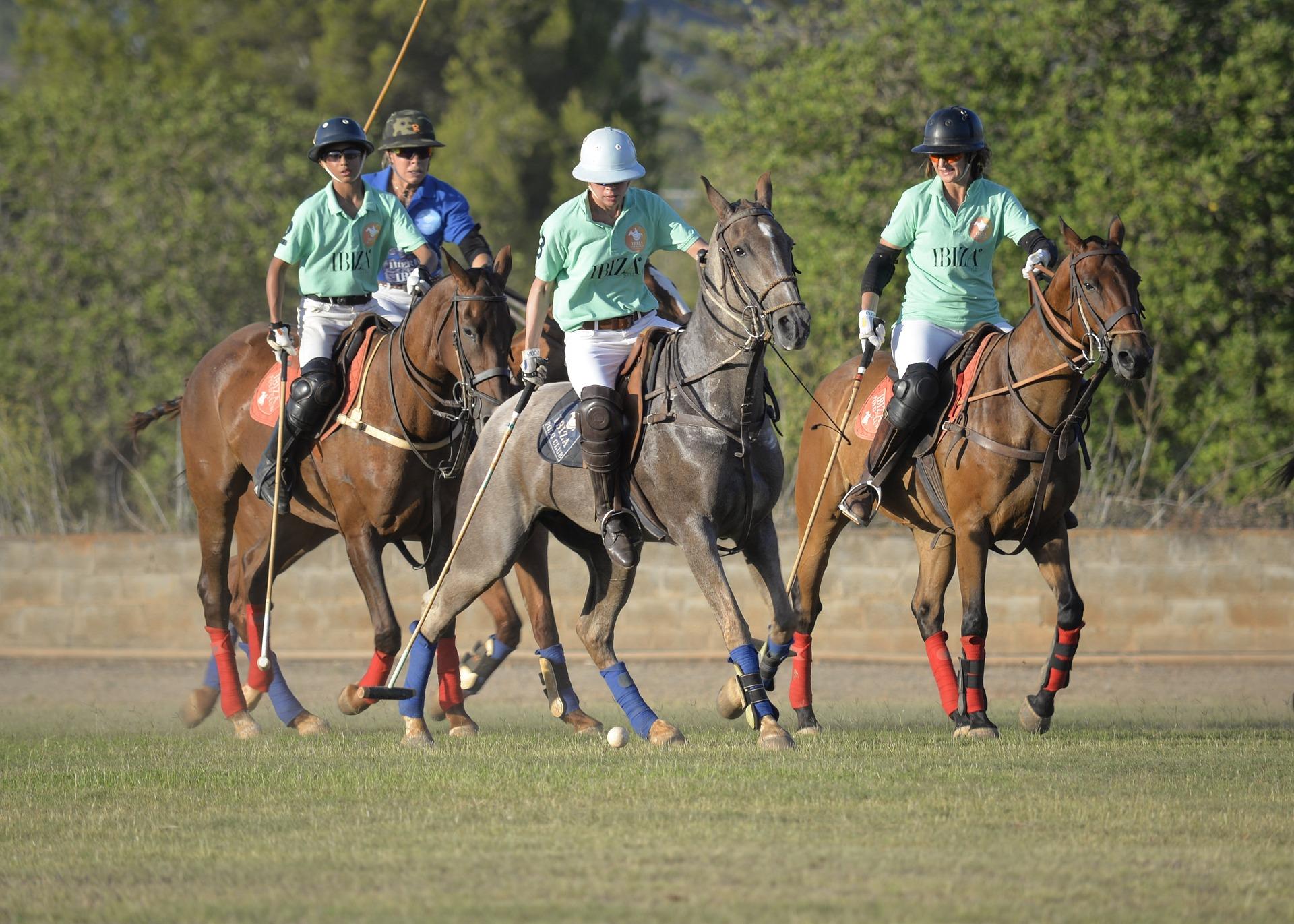 polo polo