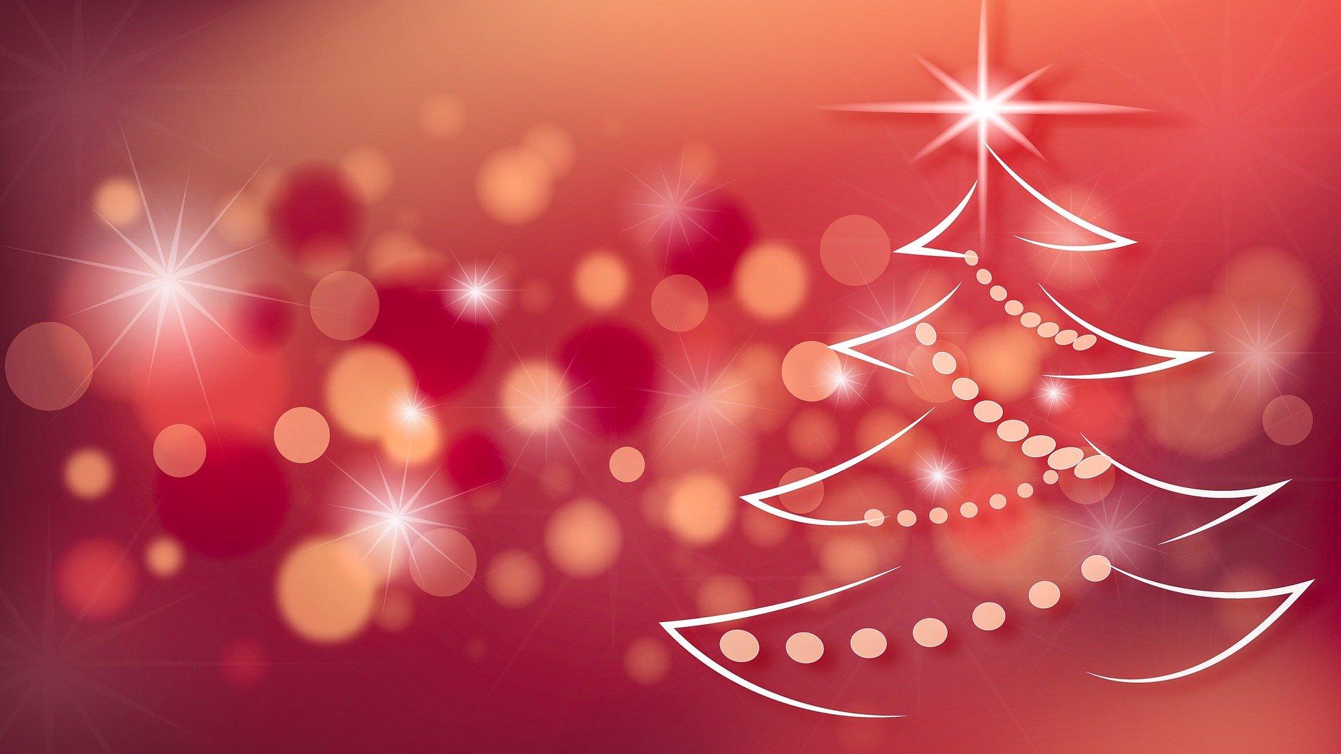 christmas-tree-2909020_1920.jpg