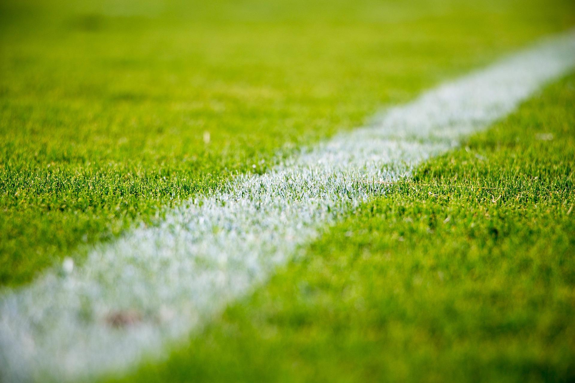 grass-gcd78368d7_1920.jpg