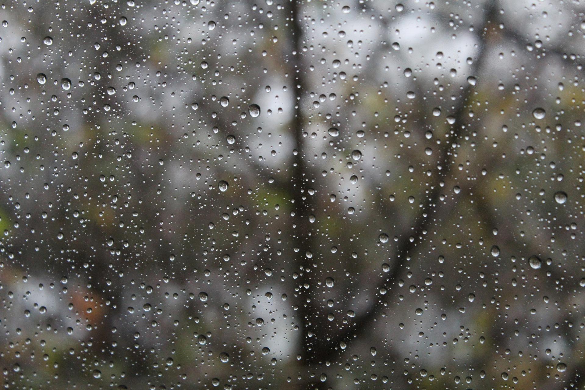rainy-day-1831908_1920.jpg