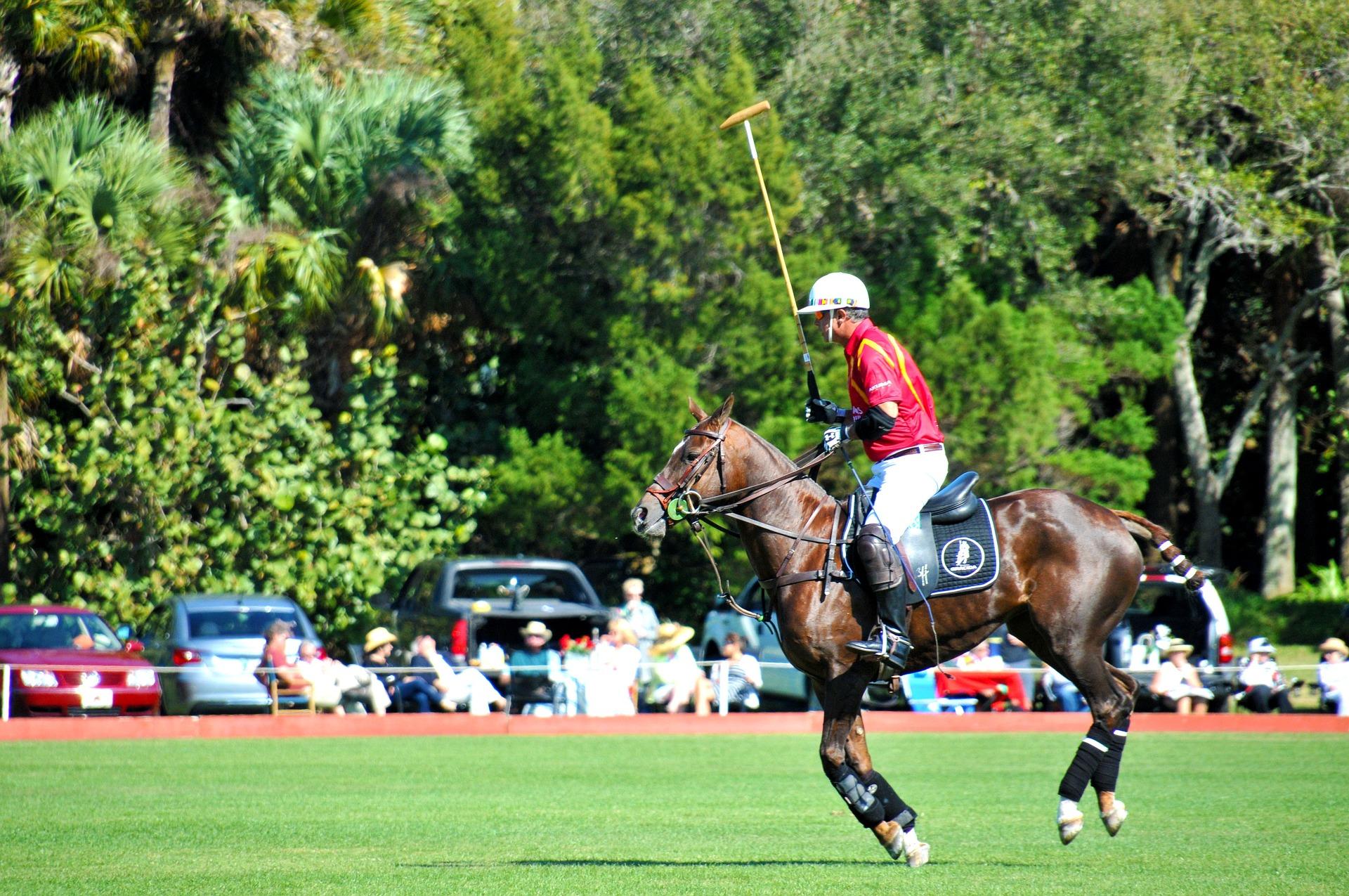 polo-912413_1920.jpg