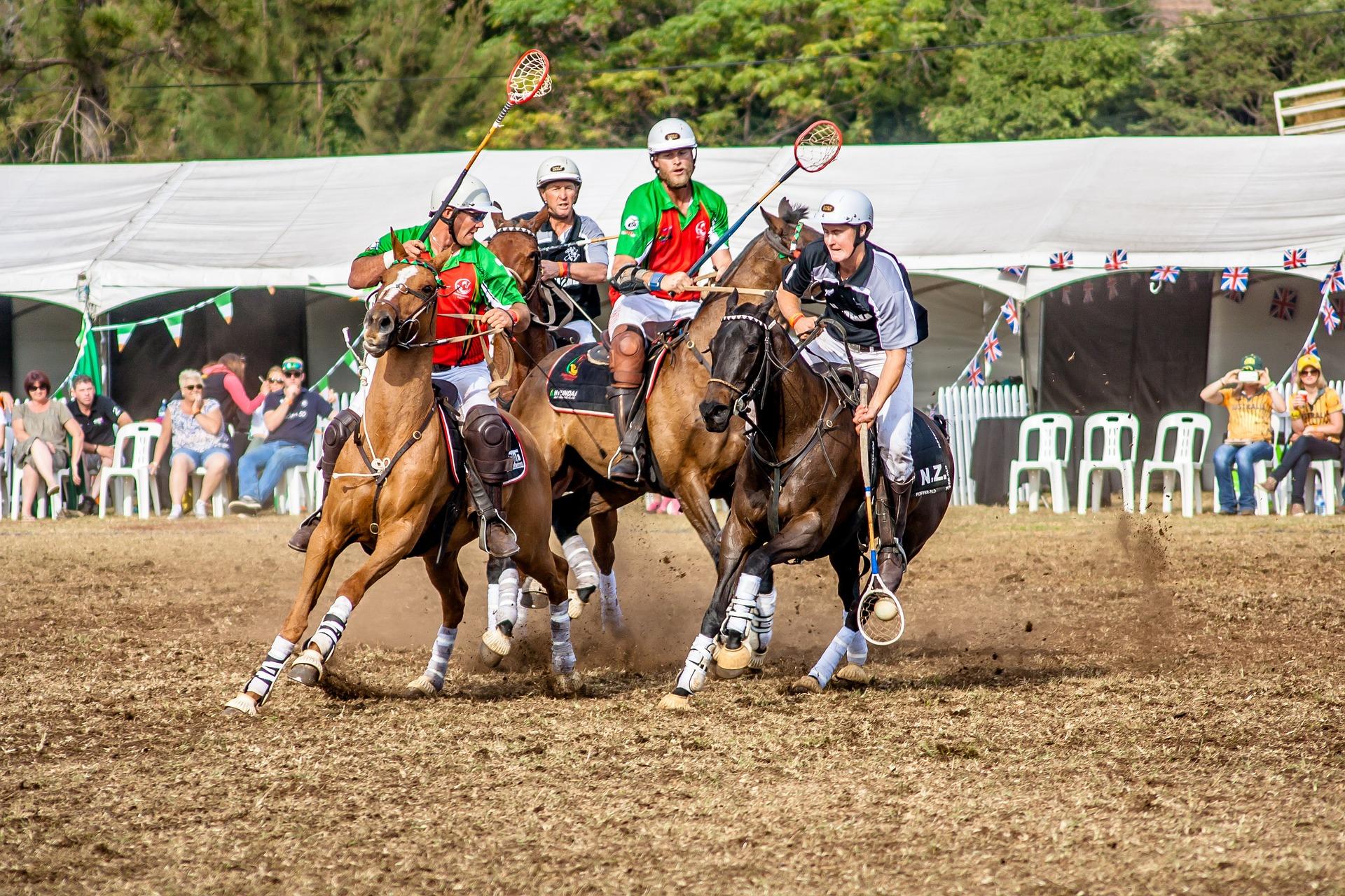 sport-843589_1920_0.jpg
