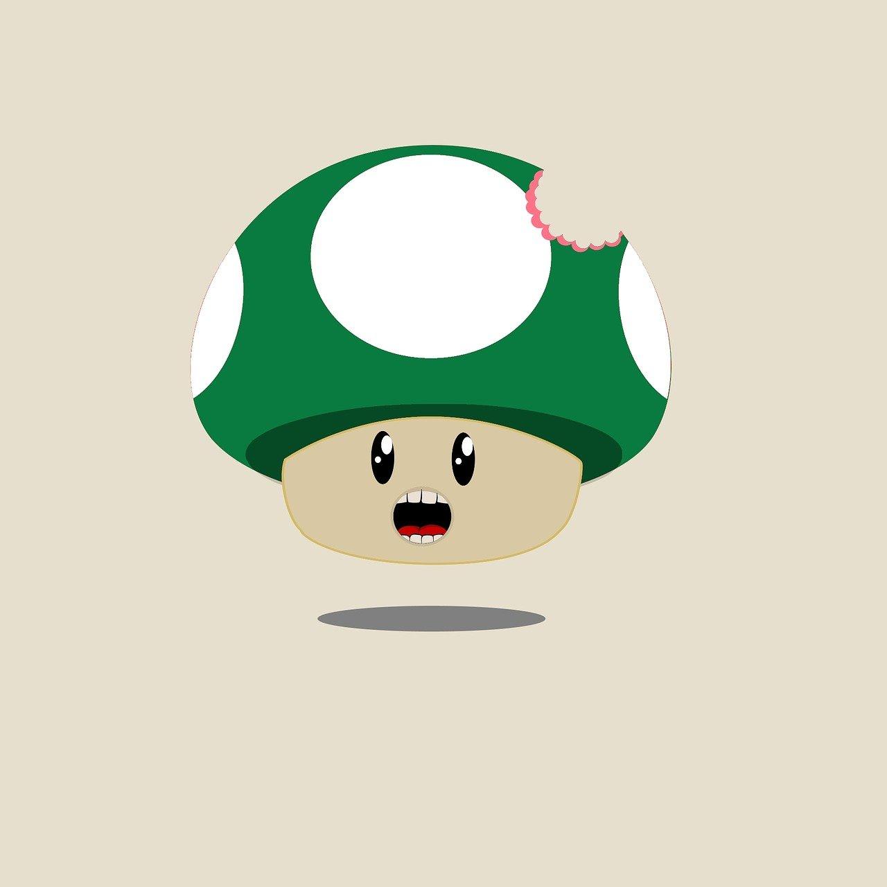 mushroom-3286577_1280.jpg