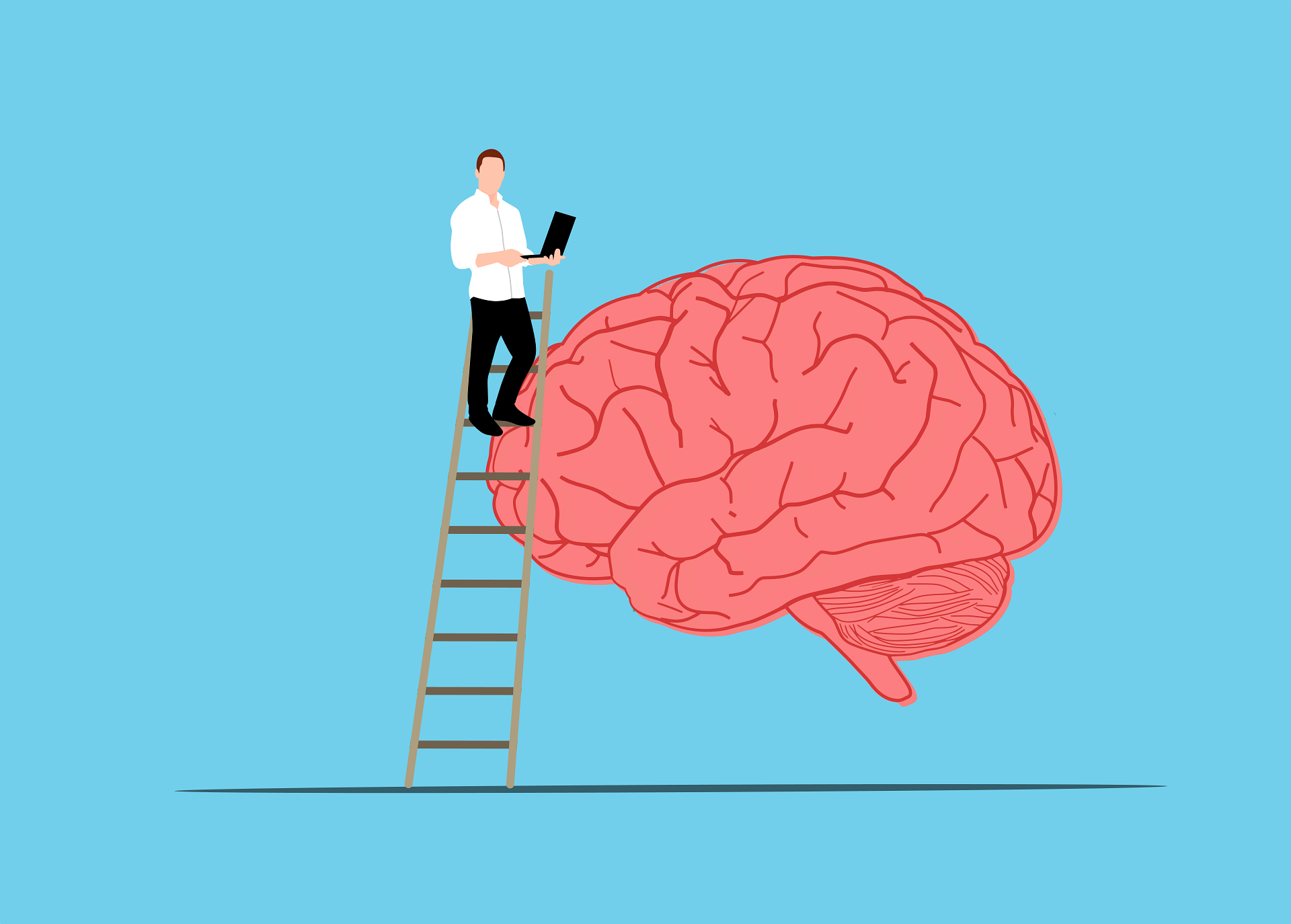 brain-8965563_1920.png