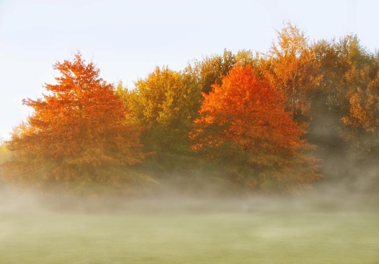 fall-4530013_1920.jpg