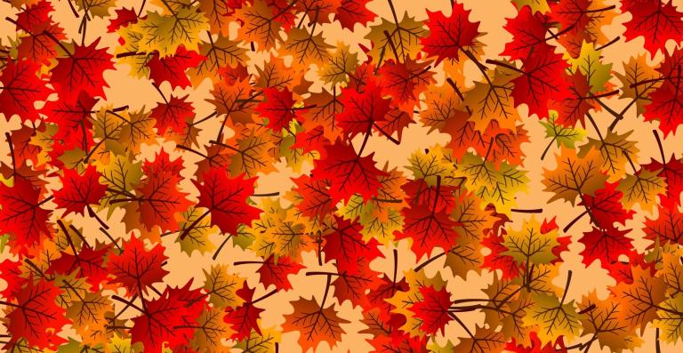wallpaper-4458730_1920.jpg